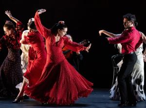 Soledad Barrio & Noche Flamenca