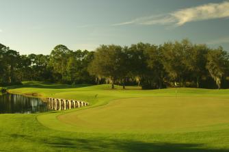 Greens ringed with trees at Riverwood Golf Club in Port Charlotte, Florida