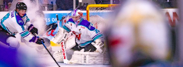 mudbugs hockey