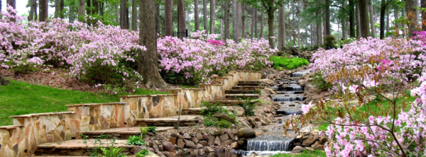 r.w. norton art gallery gardens