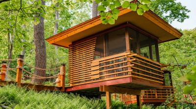 TreeTops