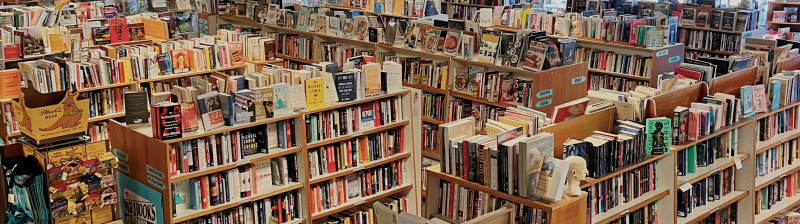 A look at Page One Bookstore's shelves