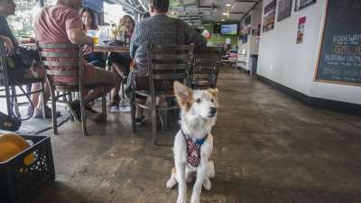 denver brewery tour