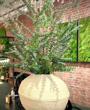 Plants from Viburnum Designs in Princeton, NJ.