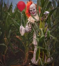 corn maze clown