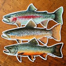 Fish Decals