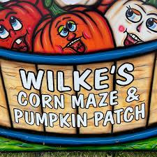 Wilke's Corn Maze