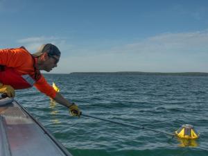 Wave Watch Buoy Placement