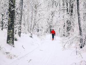 Cross Country Skiing