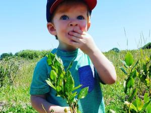 Blueberry Bliss Festival 2025 - Enjoying blueberry treats and entertainment