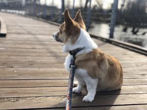 Kiki at Osage Park_2