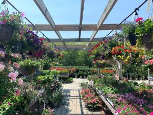 garden2