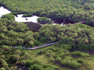 Image: Accessible Trails at Tippecanoe Environmental Park in Port Charlotte Florida