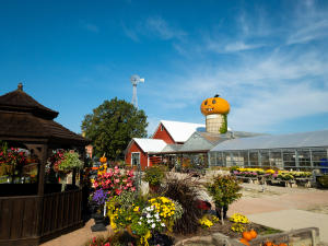 Goebbert's Pumpkin Farm