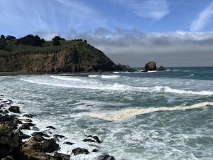 Monterey