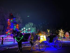 Holiday Carriage Rides at night in Golden, CO