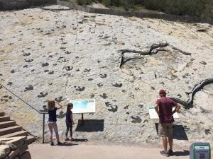 Dinosaur Ridge