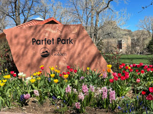 Parfet Park Spring Flowers