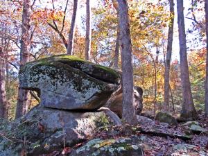 Smiley Rock Fall leaves