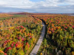 Adirondack Wayfinder 1