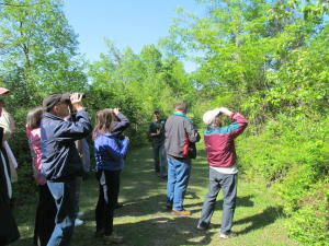 Birders at DEC's Reinstein Woods