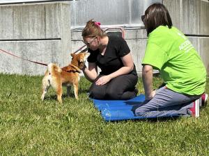Bloom and Bark in the Park