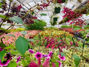 Botanical Gardens Plants Sales 2022