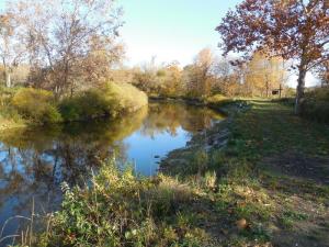 DEC 2020 Hidden Gems WAG trail in Allegany County