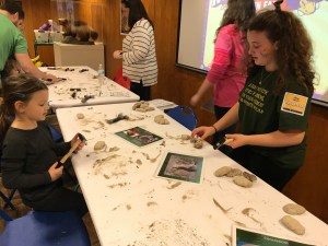 Rock and Fossil Fun Fair