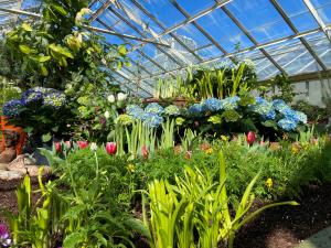 Spring at Buffalo Botanical Gardens