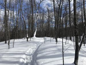 Kettles Trail Trek Back