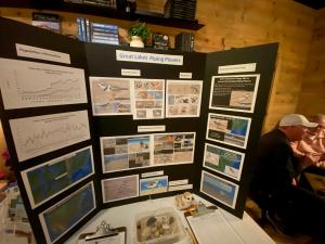 Piping Plover Education