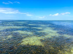 South Padre Island Laguna Madre Bay