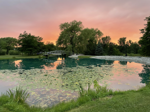 nature's oasis