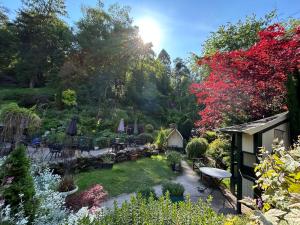 The quirky patio area of the Ramblers Retreat tea room, Staffordshire, bathed in sunshine