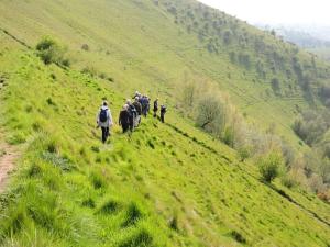 A group of walkers make their way through a field on a hillside