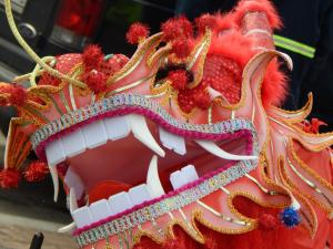 A colourful dragon costume from the Chinese New Year celebrations at Trentham Estate, Staffordshire