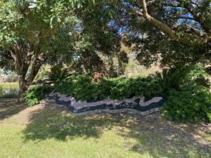 Bayou Teche Snake