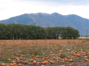 Harward Farms