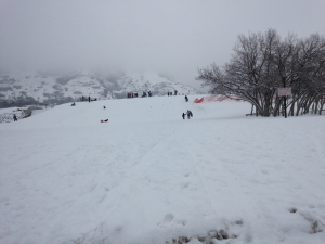 Rock Canyon Sledding