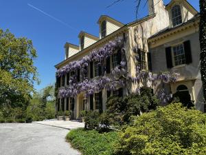 Hagley with Wisteria