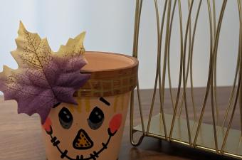 Scarecrow Flower Pot