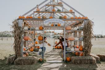 Beasley's Heartland Apple Festival