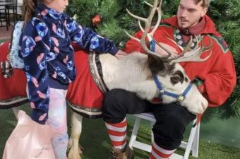 Reindeer Day at Perry Crossing