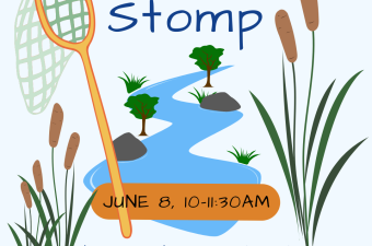 Creek Stomp