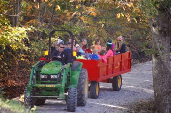 Fall Colors Festival