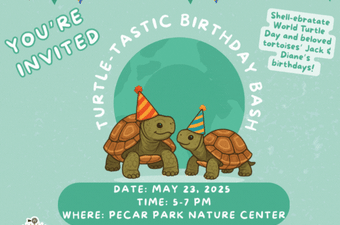 Turtle-Tastic Birthday Bash