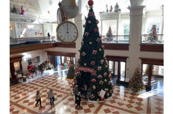 Festival of Trees