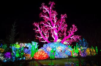 Glo Wild at the Fort Wayne Zoo