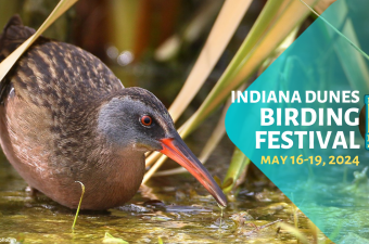 Indiana Dunes Birding Festival 2024